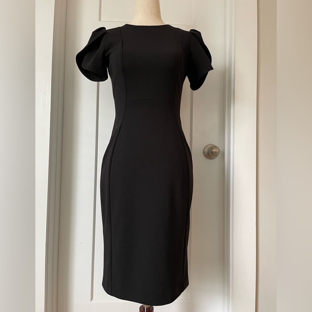 Calvin Klein Tulip Sleeve Crew Neck Sheath Dress Size 2 Womens